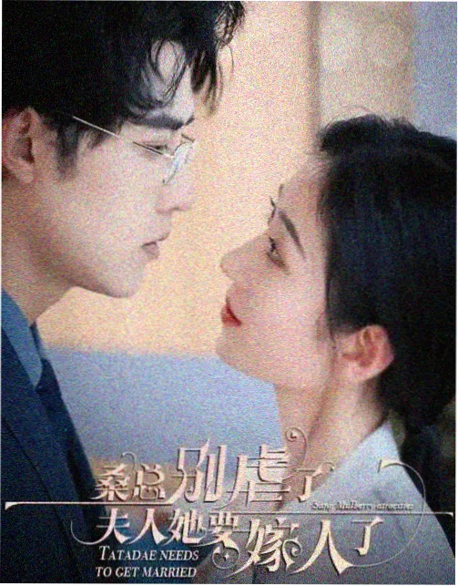 归途列车电视剧全集海报